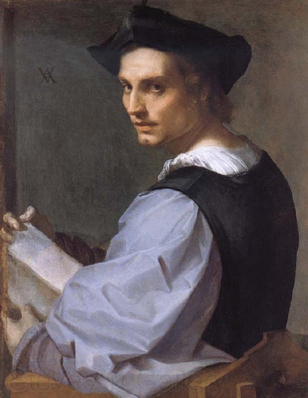 Andrea del Sarto Portrait of a Young Man Norge oil painting art